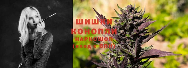 ALPHA PVP Осинники