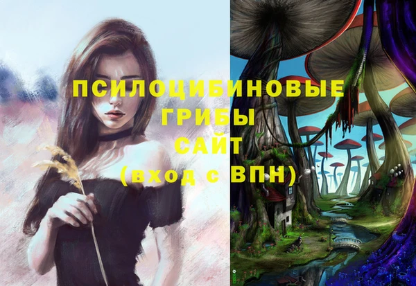 экстази Няндома