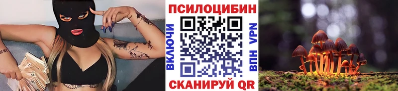 Псилоцибиновые грибы мицелий  продажа наркотиков  Агидель 