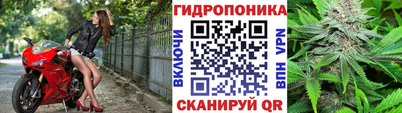 МАРИХУАНА гибрид Агидель